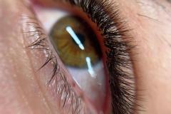 PHOTO-2026-02-04-09-03-27