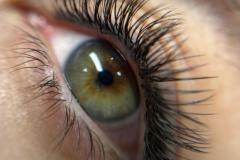 PHOTO-2026-02-04-09-04-48